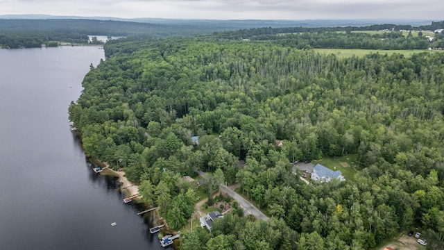 112 Birch Dr, Poland, ME 04274 - photo 78