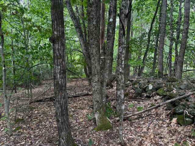 M13L18-B Fish Rd, Anson, ME 04911 - photo 2