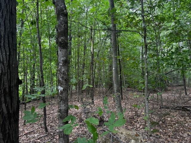 M13L18-B Fish Rd, Anson, ME 04911 - photo 3