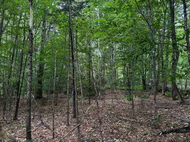 M13L18-B Fish Rd, Anson, ME 04911 - photo 4