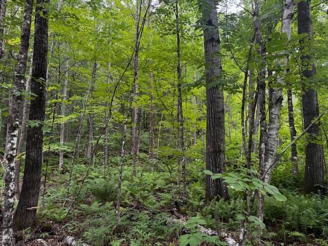 M13L18-B Fish Rd, Anson, ME 04911 - photo 5