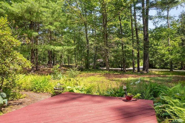 43 Cedar Ln, Ogunquit, ME 03907 - photo 5