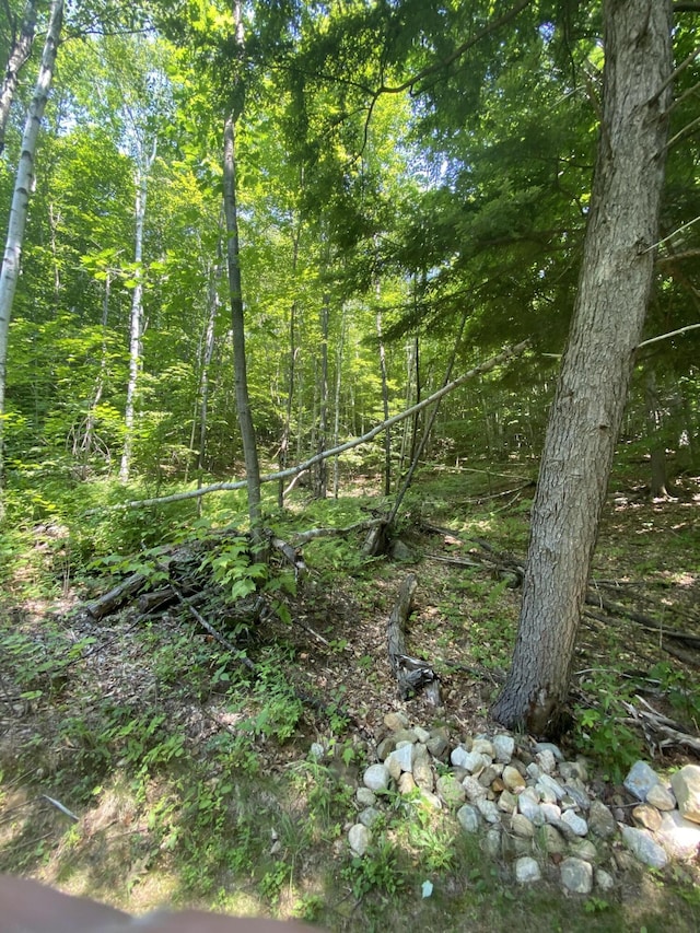 TBD Mountain View Dr, Hartford, ME 04220 - photo 9