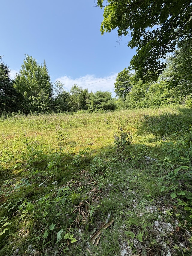 1241 Wrightville Rd, Ashland, ME 04732 - photo 6
