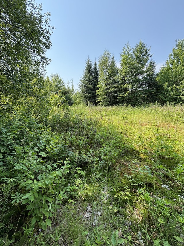 1241 Wrightville Rd, Ashland, ME 04732 - photo 7