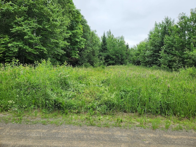 1241 Wrightville Rd, Ashland, ME 04732 - photo 10