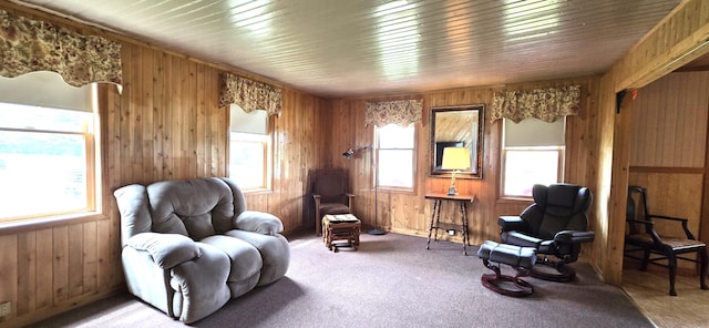 858 Allagash Rd, Allagash, ME 04774 - photo 15