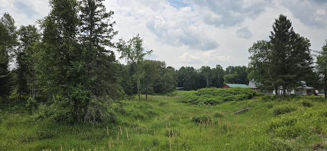 858 Allagash Rd, Allagash, ME 04774 - photo 39