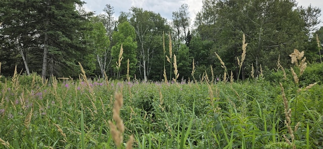 858 Allagash Rd, Allagash, ME 04774 - photo 40