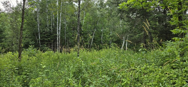 858 Allagash Rd, Allagash, ME 04774 - photo 42