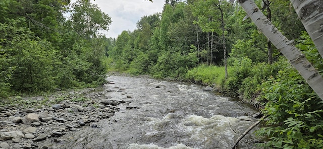 858 Allagash Rd, Allagash, ME 04774 - photo 3