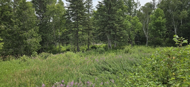 858 Allagash Rd, Allagash, ME 04774 - photo 64