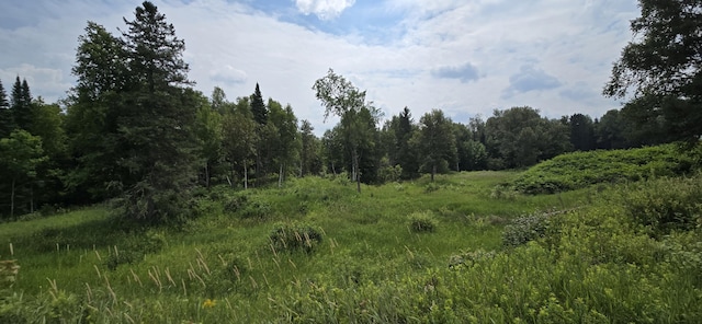 858 Allagash Rd, Allagash, ME 04774 - photo 65