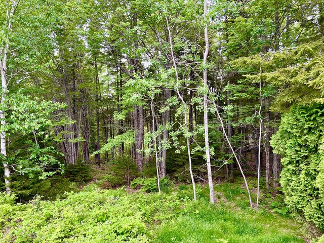 3 Elmers Way, Tremont, ME 04612 - photo 14