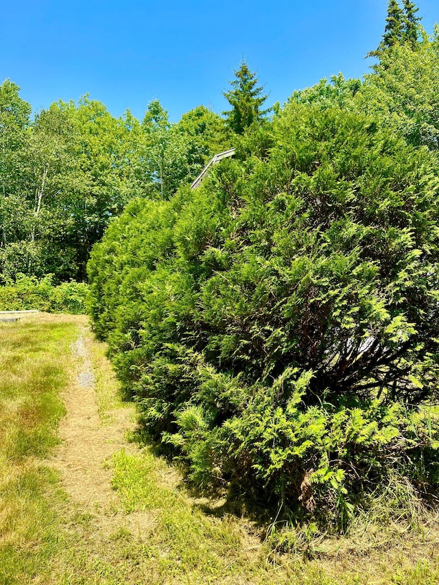 3 Elmers Way, Tremont, ME 04612 - photo 6