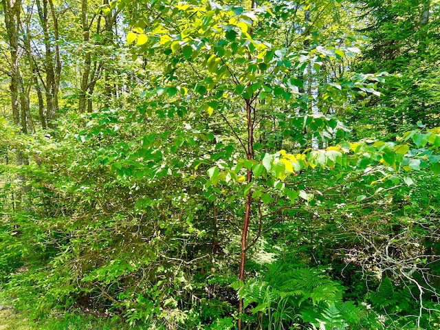 3 Elmers Way, Tremont, ME 04612 - photo 17