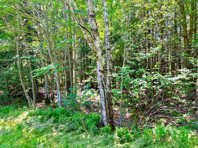 3 Elmers Way, Tremont, ME 04612 - photo 19