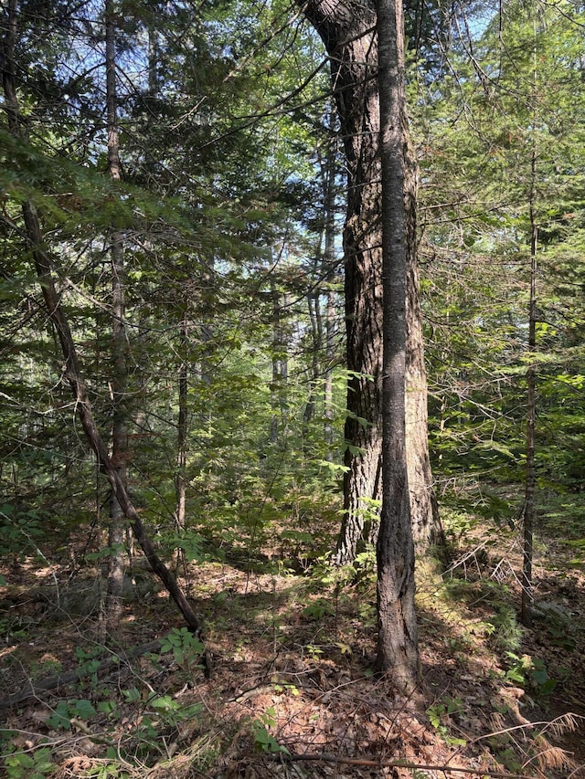 180 Lambert Rd, Skowhegan, ME 04976 - photo 32