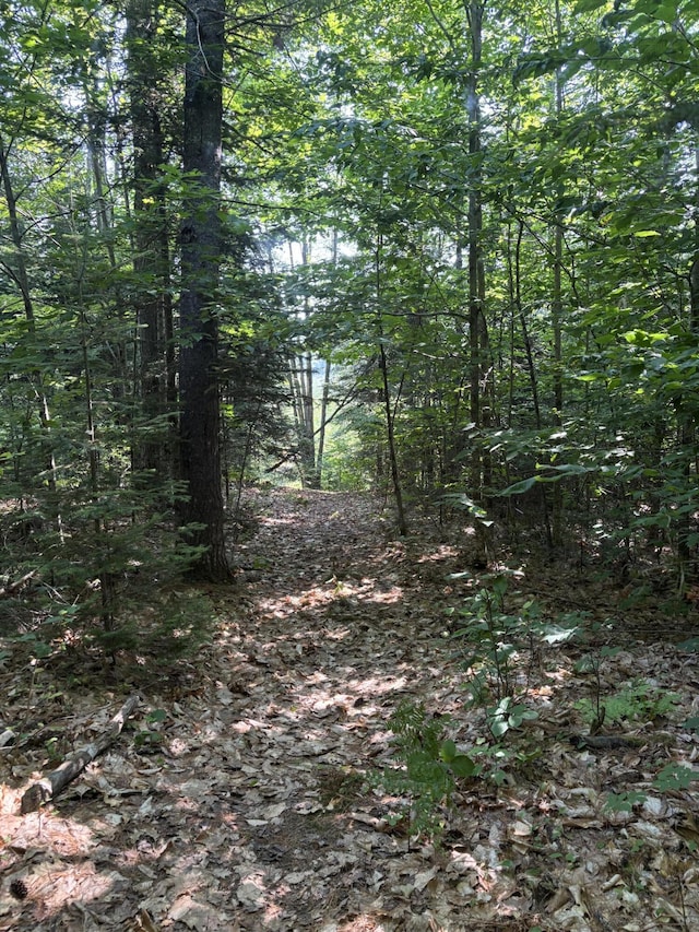 180 Lambert Rd, Skowhegan, ME 04976 - photo 31
