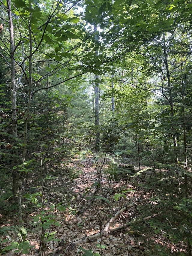 180 Lambert Rd, Skowhegan, ME 04976 - photo 30