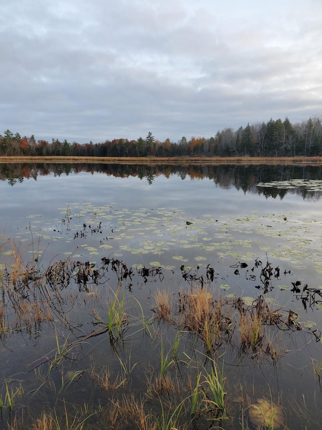 180 Lambert Rd, Skowhegan, ME 04976 - photo 43
