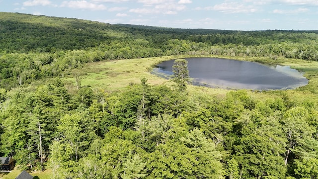 180 Lambert Rd, Skowhegan, ME 04976 - photo 52