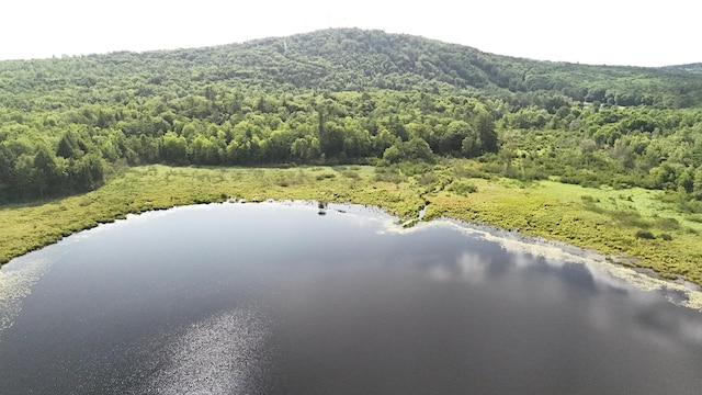 180 Lambert Rd, Skowhegan, ME 04976 - photo 54