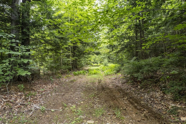 92 Ledge Hill Rd, Bowdoin, ME 04287 - photo 14