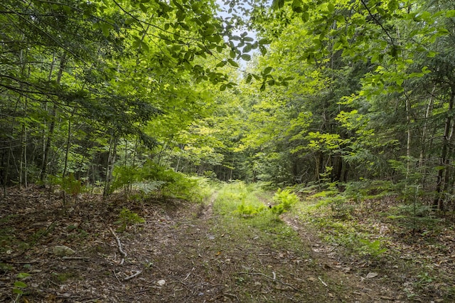 92 Ledge Hill Rd, Bowdoin, ME 04287 - photo 15