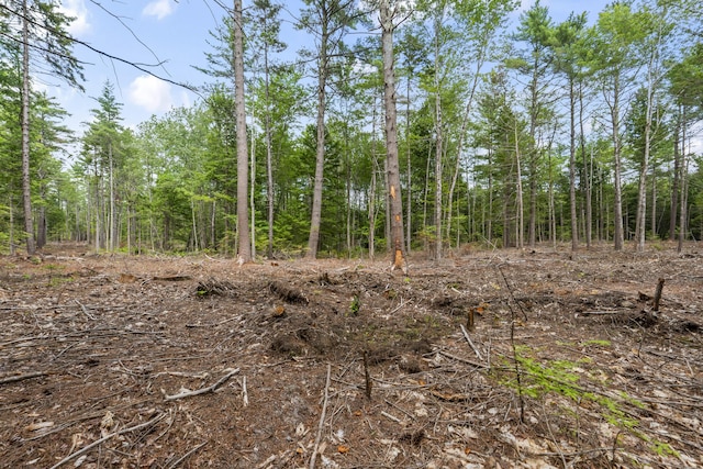 92 Ledge Hill Rd, Bowdoin, ME 04287 - photo 55