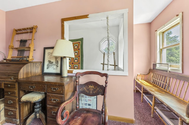 252 Meadowhill Rd, Manchester, ME 04351 - photo 23