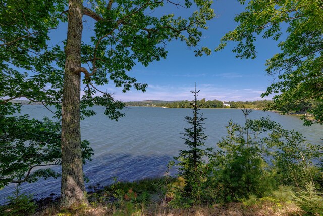99 Southern Bay Rd, Penobscot, ME 04476 - photo 3