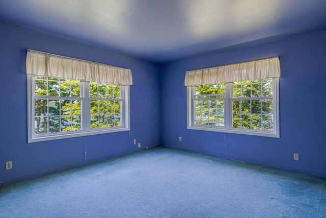 99 Southern Bay Rd, Penobscot, ME 04476 - photo 23
