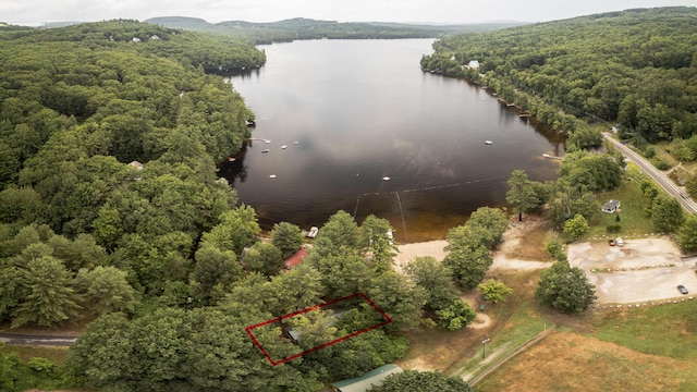 25 Mill St, Harrison, ME 04040 - photo 30