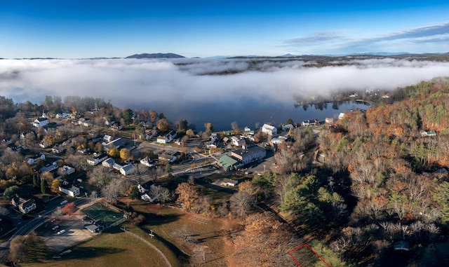 25 Mill St, Harrison, ME 04040 - photo 31