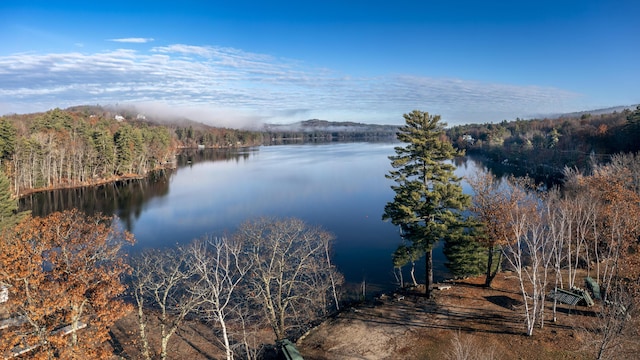 25 Mill St, Harrison, ME 04040 - photo 32
