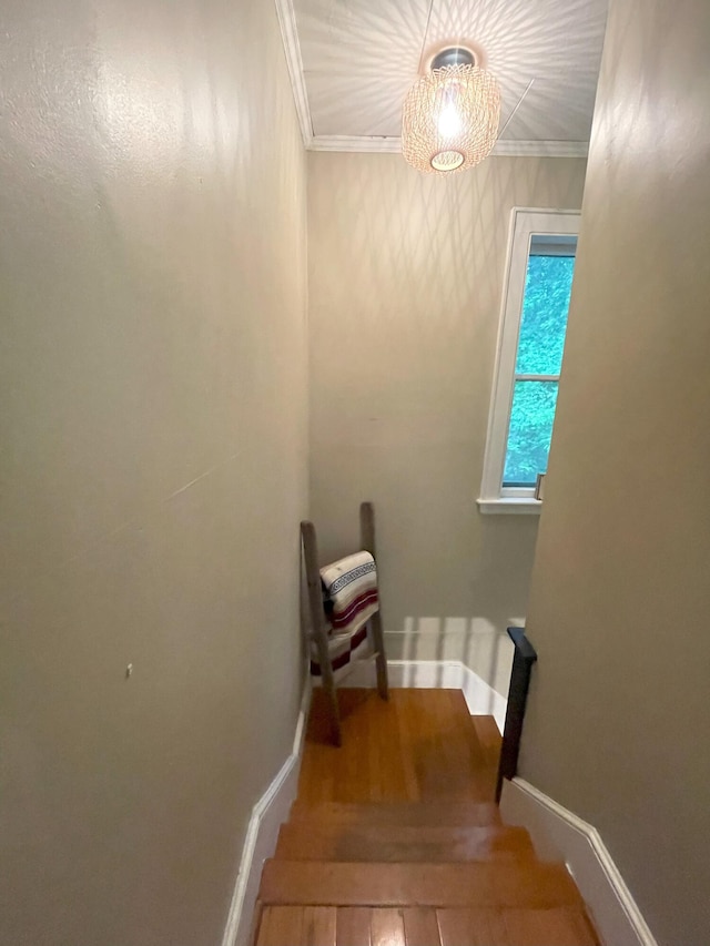 17 Anderson Ave, Westbrook, ME 04092 - photo 40