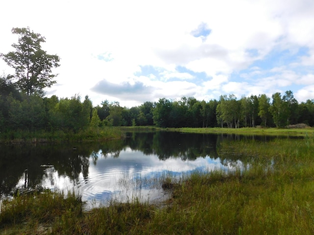 135 Kitchen Mill Rd, Greenbush, ME 04418 - photo 31