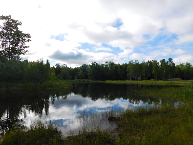 135 Kitchen Mill Rd, Greenbush, ME 04418 - photo 29