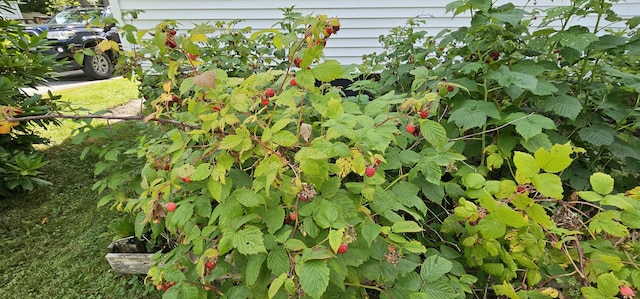 12 Tardiff St, Waterville, ME 04901 - photo 20