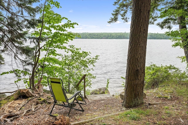 235 Kotagiri Way, Ellsworth, ME 04605 - photo 3