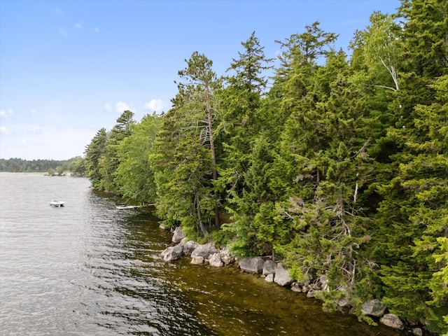 235 Kotagiri Way, Ellsworth, ME 04605 - photo 6