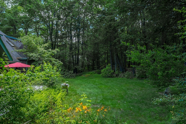 9 Scitterygussett Dr, Falmouth, ME 04105 - photo 39