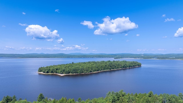 1 Eagle Is, Mariaville, ME 04605 - photo 1