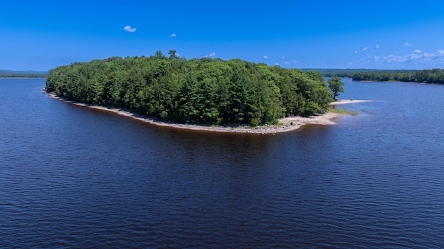 1 Eagle Is, Mariaville, ME 04605 - photo 9