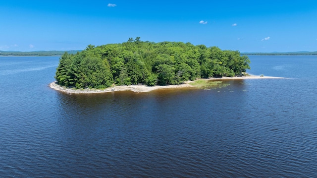1 Eagle Is, Mariaville, ME 04605 - photo 2