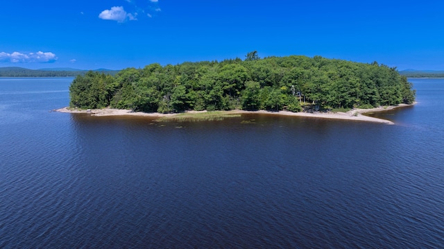 1 Eagle Is, Mariaville, ME 04605 - photo 10