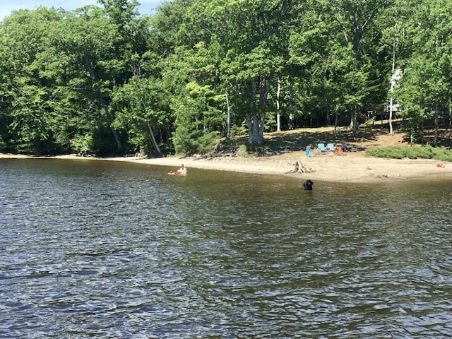 1 Eagle Is, Mariaville, ME 04605 - photo 12