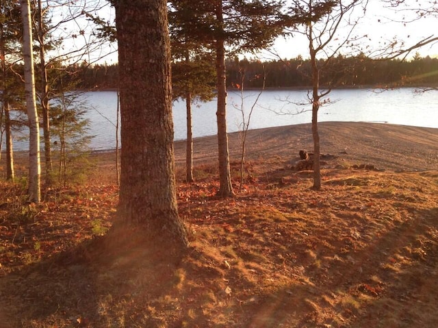 1 Eagle Is, Mariaville, ME 04605 - photo 17