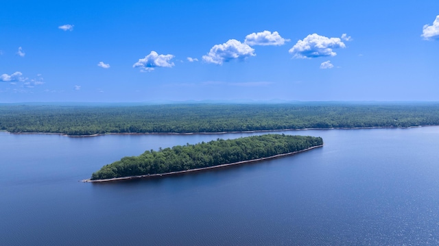 1 Eagle Is, Mariaville, ME 04605 - photo 21
